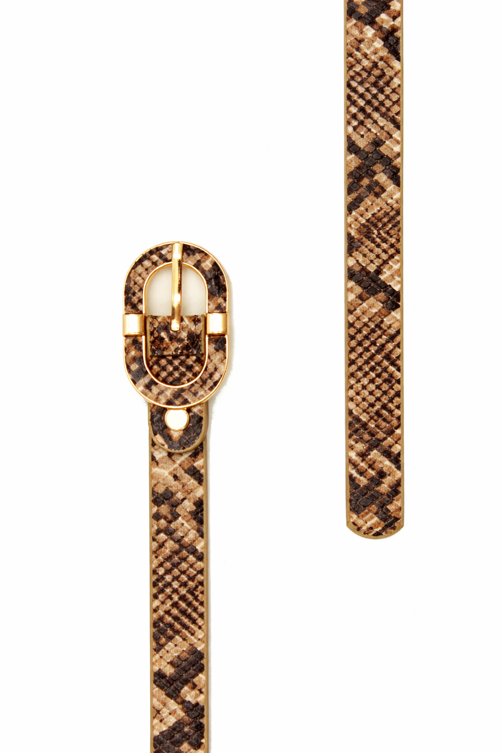 CINTURA FAKE SNAKE 90%PU+10%METAL, MADE IN PRC                 - MARRONE